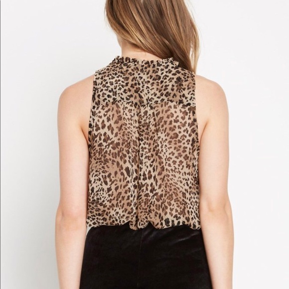 Leopard Print Top - Picture 3 of 5